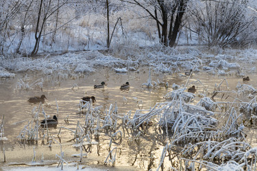 Similar image 21677358