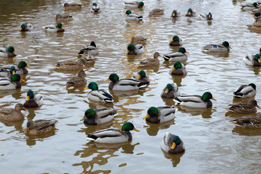 Similar image 21677359