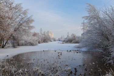 Similar image 21677361