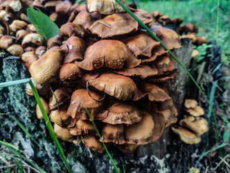 Similar image 21679236