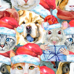 Similar image 21678069