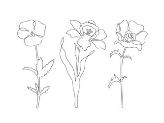 Similar image 21679449