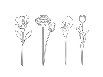 Similar image 21679042