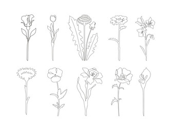 Similar image 21679045