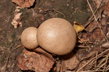 Similar image 21677412