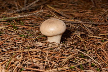 Similar image 21677413