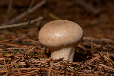 Similar image 21677415