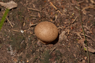 Similar image 21677416