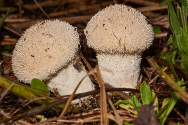 Similar image 21677417