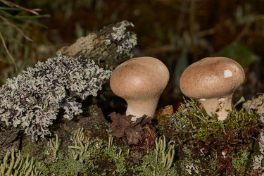 Similar image 21677418