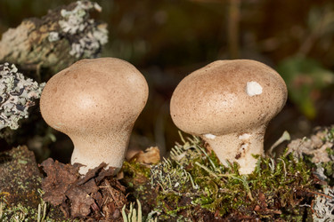 Similar image 21677420