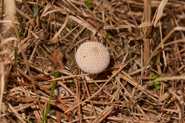 Similar image 21677421