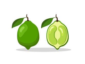 Similar image 21679120