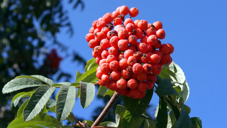 Similar image 21677484