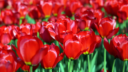 Similar image 21677485