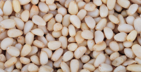 Similar image 21677487