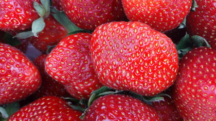 Similar image 21677495