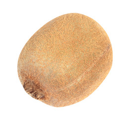 Similar image 21677498