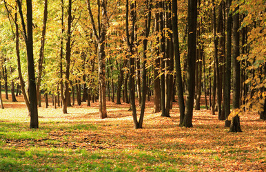 Similar image 21677501