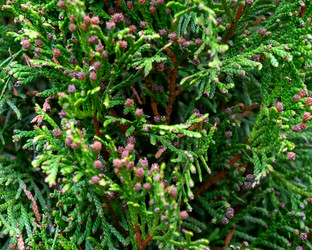 Similar image 21677435