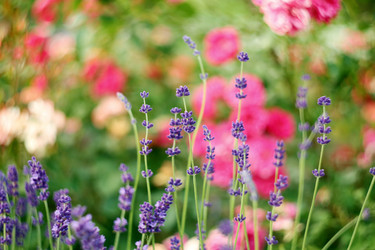 Similar image 21677507