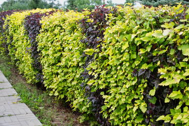 Similar image 21677508