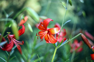 Similar image 21677509