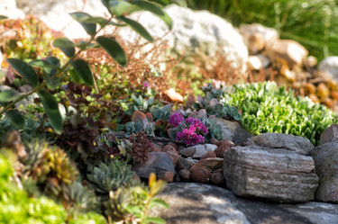 Similar image 21677510