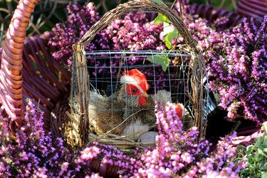 Similar image 21677518