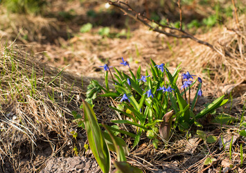 Similar image 21677520