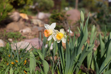 Similar image 21677521