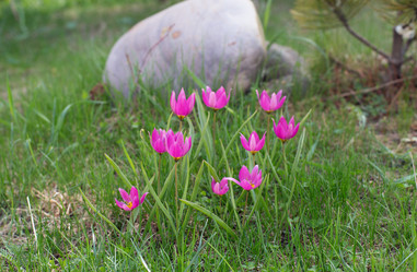 Similar image 21677523