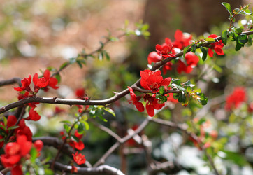 Similar image 21677525