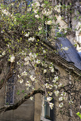 Similar image 21677527