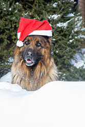 Similar image 21679656