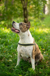 Similar image 21679657