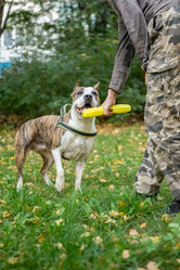 Similar image 21679658