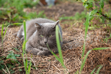 Similar image 21679662