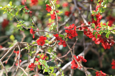 Similar image 21677528