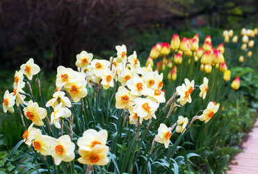 Similar image 21677529