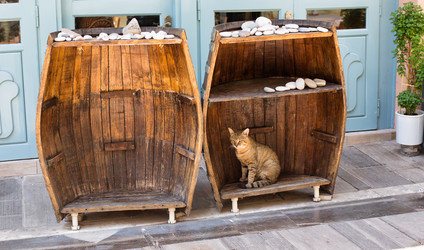 Similar image 21677531