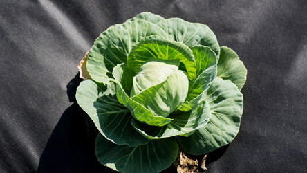 Similar image 21677538