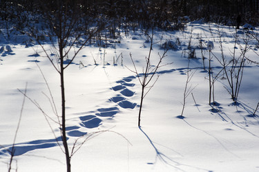 Similar image 21677543