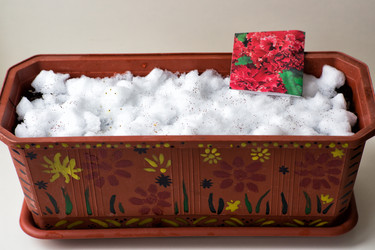 Similar image 21677546