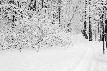 Similar image 21677552