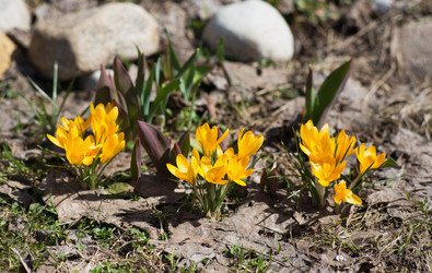 Similar image 21677553