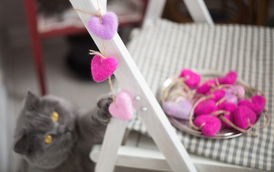 Similar image 21677557