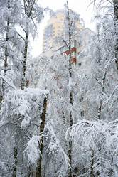 Similar image 21677558