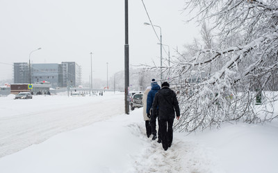 Similar image 21677560