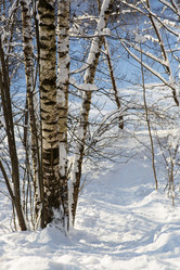 Similar image 21677561